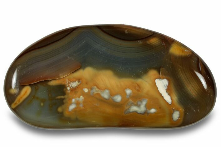 Colorful, Polished Carnelian Agate Palm Stone - Madagascar #256370